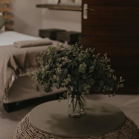 Villa Rose Guesthouse & Venue بلومفونتين المظهر الخارجي الصورة
